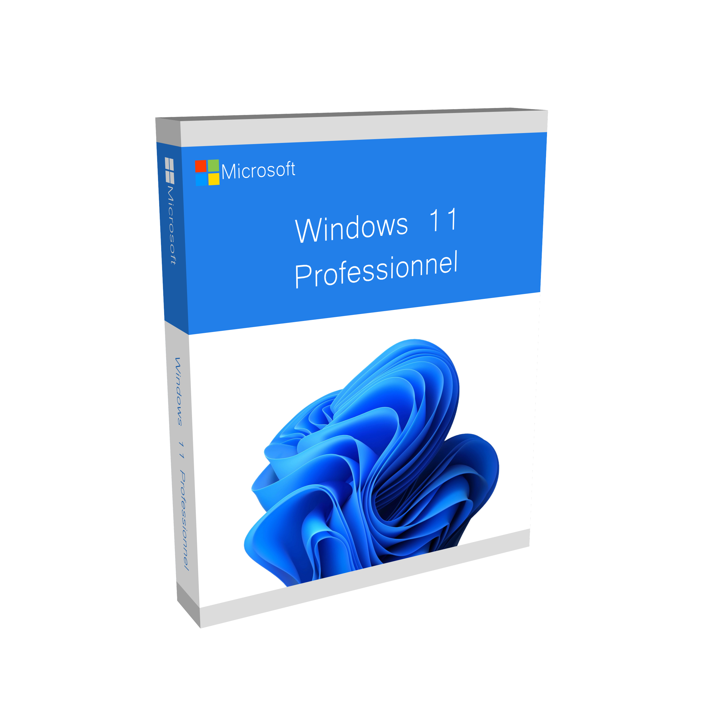 Windows 11 Pro